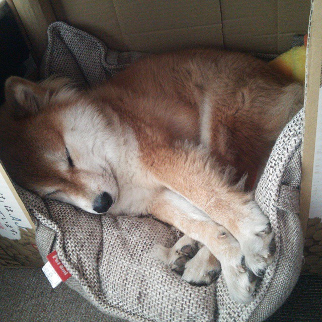 全国青少年户外拓展赛，挑战极限激发潜能，青少年户外拓展训练营