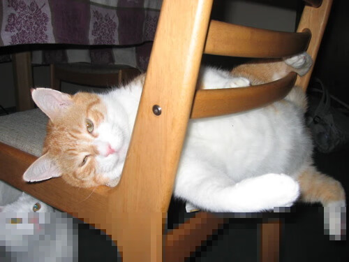 场面激烈：双方攻防对抗让比赛紧张刺激！，比赛双方的对抗十分激烈